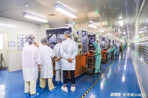 業績向好，股價卻下跌 新消費‘第一股’們怎么了？